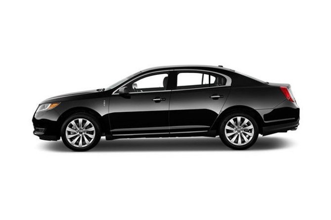 Chicago 4-Hour Sightseeing Transfer by Luxury Private Sedan - Where this transfer really shines: photo stops, quick visits, and comfort