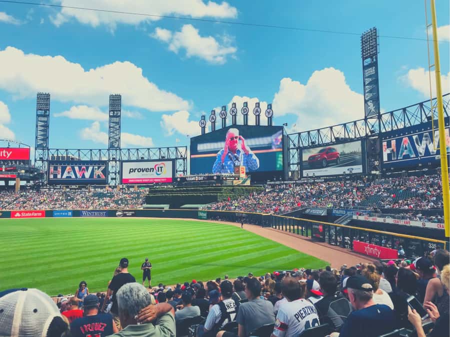Chicago: Chicago White Sox Baseball Game Ticket - What this ticket experience is best for