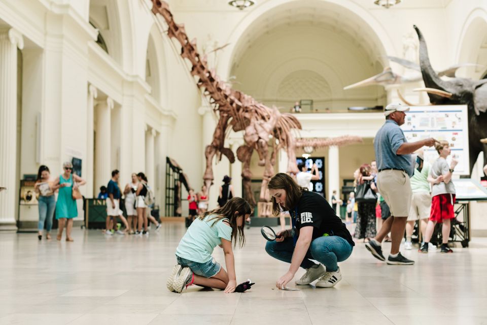 Chicago: Explorer Pass Save up to 50% - includes SkyDeck - Building your own itinerary (without overpacking)
