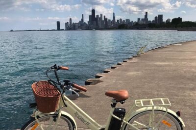 Chicago Lakefront Electric Bike Tour - Field Museum and Sue: quick science vibes without the marathon