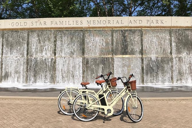 Chicago Lakefront Electric Bike Tour - Fit and readiness: who will enjoy this most