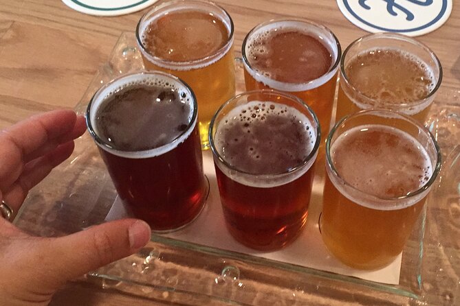 Chicago Local Brewery Expedition with Homemade Guacamole - Your Guide and Group Size: Ronaldo Keeps It Clear