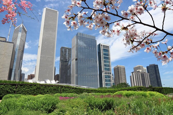 Chicago Millennium Park Self-Guided Walking Tour - Entering Millennium Park on your own terms