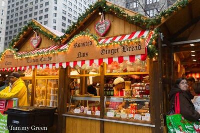Chicago-Style Holiday Hike: Festive Food and Walking Tour - Where the tour starts: 410 N Michigan Ave and the quick hop to the holiday core