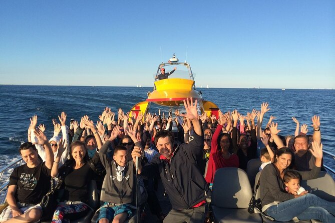 City Cruises Chicago: Seadog Fireworks Cruise - Shedd Aquarium Stop: The View-Plus-Route Moment