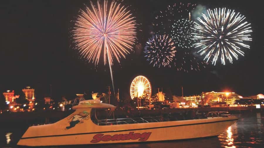 City Cruises Chicago: Seadog Speedboat Lake Firework Cruise - Who This Seadog Cruise Fits Best