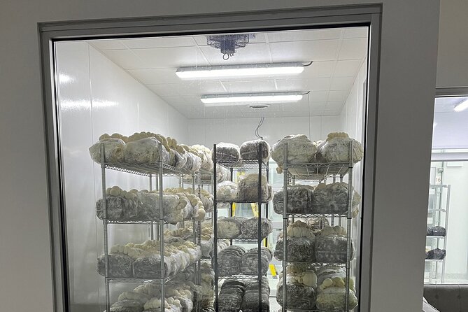 Explore Chicago’s Indoor Mushroom Farm Experience - Grow Rooms and Fruiting: Where the Tour Really Feels Like a Behind-the-Scenes Look