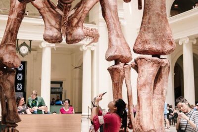 Field Museum of Natural History Admission Tickets - Inside Ancient Egypt: Mummies and 5,000-Year-Old Hieroglyphics