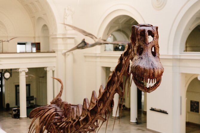 Field Museum of Natural History Early Access Ticket - SUE the T. rex and Evolving Planet: Dinosaur Time Without the Crush