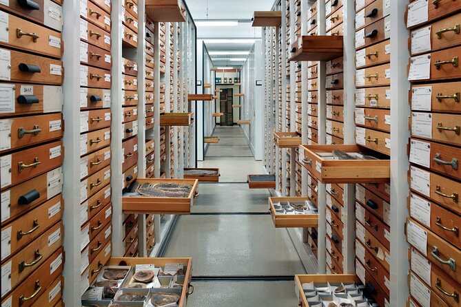 Field Museum of Natural History Early Access Ticket - Timing Tips and Entrance Choices (East Entrance Matters)