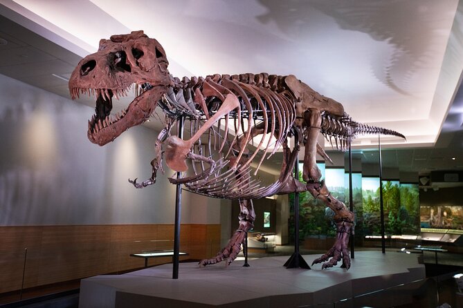 Field Museum of Natural History Early Access Ticket - Docent-Led Tour: What You See Before the Doors Open