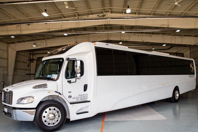 Luxury Minibus Chicago City Tour - Soldier Field and Field Museum: Sports Energy Meets Sue’s Fossil Fame