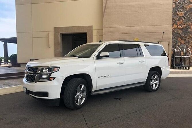 Private Transfer Chicago Airport MDW to Chicago Downtown - How the Pickup Works: Voucher, Contact, Meeting Point