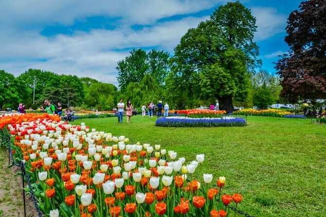 Windmill Island Gardens Day Tour from Chicago – Kids Save 50% - Key Highlights to Know