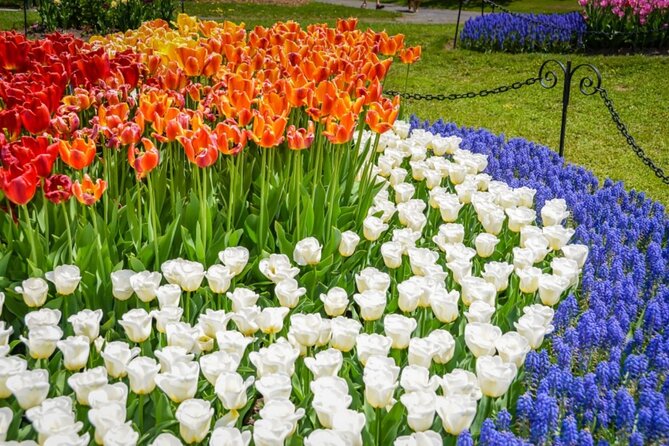 Windmill Island Gardens Day Tour from Chicago – Kids Save 50% - Early Morning From Chicago: What the Day Really Looks Like