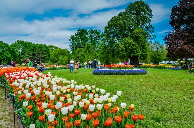 Windmill Island Gardens Day Tour from Chicago – Kids Save 50% - Windmill Island Gardens and De Zwaan: The Main Photo Stop