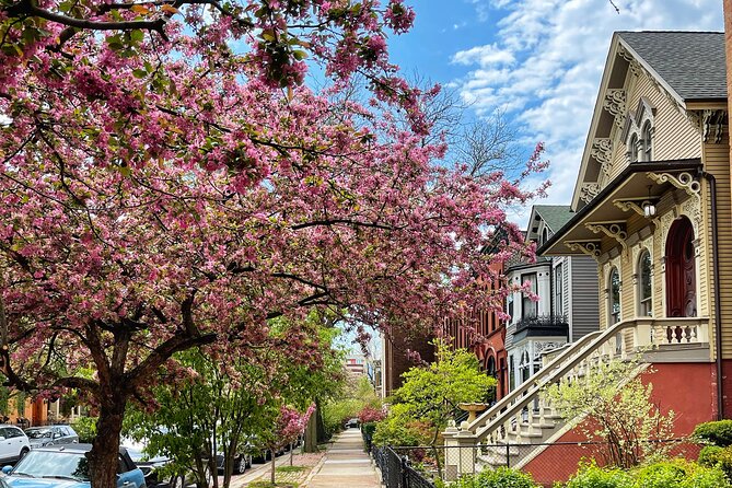 Workers Cottages of Oldtown Triangle Walking Tour - Start on Eugenie Street: Easy Meetup, Clear Route, Real Neighborhood Vibe